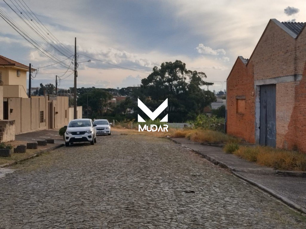 fotos